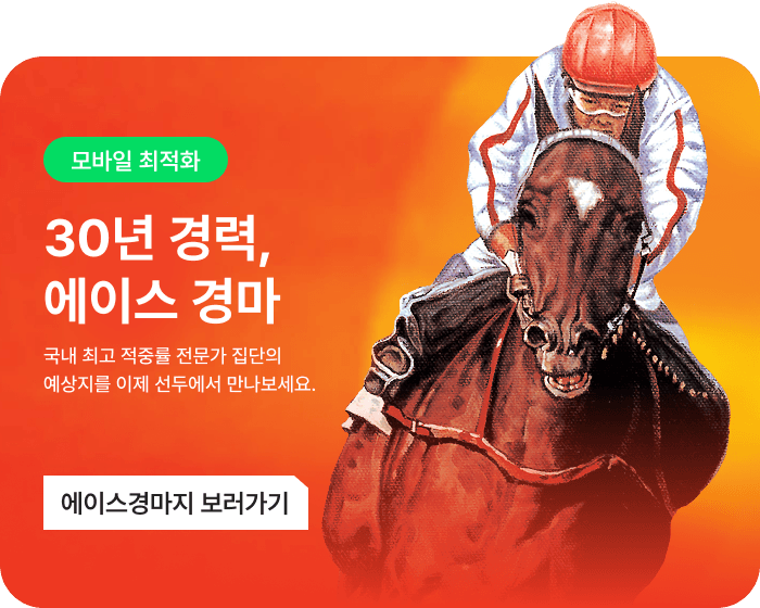 선두닷컴