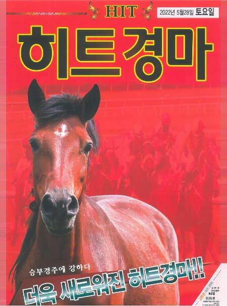 히트경마